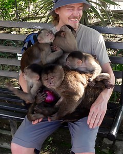 Monkeys love onions! 🧅🐒 | Furry Tails