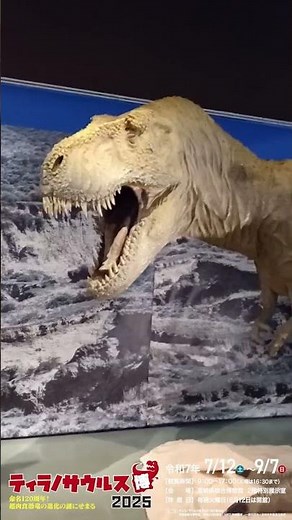 "Tyrannosaurus Expo 2025" (Miyazaki Prefectural Museum) Exhibition Supervisor Kohei Tanaka (Unive...