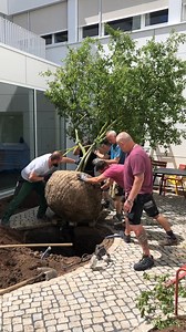 Last finishing touches to our new Alumni Courtyard before the big reunion. We can't wait to have our former students back on campus this weekend. | Frankfurt International School