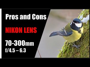 Nikon 70-300mm Lens review with Photos. The cheapest zoom lens for Birdphotography?