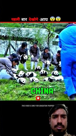 The Cutest Panda Baby Ever 🐼💞