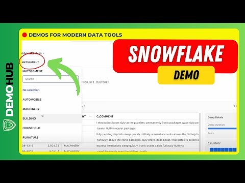 Snowflake Demo // ❄️ How To Quickly Create and Use Custom Filters In Snowflake | www.demohub.dev