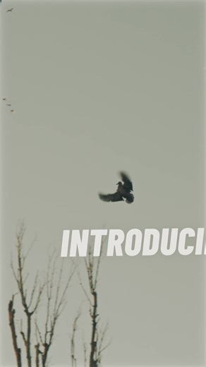 Calling all Mojo, Lucky Duck, and Avian X Motion Decoy Owners. It's time to add the missing piece to your spread using Water Sound. This one-of-a-kind tech can be simply attached to your current spinning-wing decoy to simulate the True-Bird™ sound of wings-on-the-water. At twenty yards, it's difficult to tell there's not an actual bird in your spread. With Waterfowl Season around the corner. This addition to your spread will help you with one thing. KILL. MORE. BIRDS. | Blue Bird Waterfowl