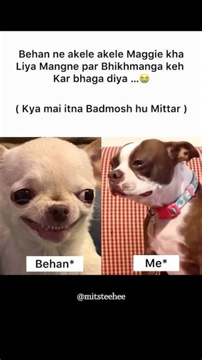 Maggie #memes #popular #viral #funnymemes #tweetreels #behan #maggie