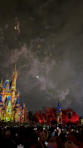 7K views · 4.1K reactions | Tinkerbell’s flight during Happily Ever After! #waltdisneyworld #magickingdom #happilyeverafterfireworks #seewdw #tinkerbell | See WDW | Facebook