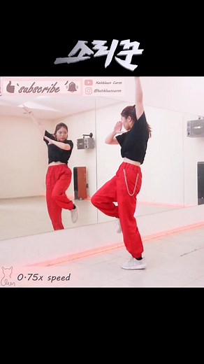 Learn the Thunderous Dance Tutorial by Stray Kids!