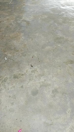 Exploring Homemade Slingshots: A DIY Guide