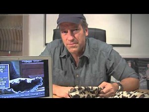 C.R.A.P.: "The Katsak Returns"