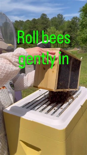Package Bee Installation in the Primal Beehive. Getting this hive started is an exciting adventure!