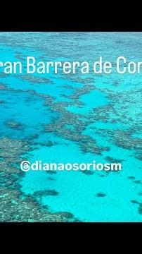 La verdad sobre llegar a Cairns por primera vez✈️