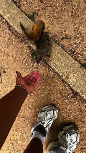 Funny Sketch Artist's Hilarious Creations