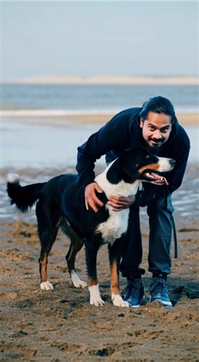 dogbeach [1][2]- #beachdog [4][5]- #dogsofinstagram [2]- #doglife [3]- #dogsatthebeach