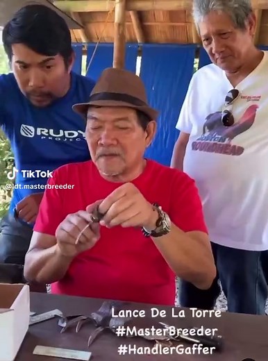 KNIVES OUT: Discovering TARI for Cockfighting