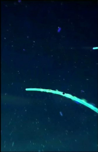 Samsung Galaxy Ace Boot Animation Fanmade