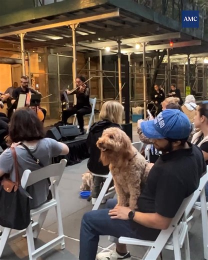 🐶🎶 Bring your dog, grab a seat, and enjoy live music under the city sky! ✨ Concert for Canines & Their Companions 🎻 Featuring The Dolphins String Quartet from The Juilliard School 📅 Wed, Sept 17 | 4–7 PM 📍 25th Street Plaza (E. 25th between 3rd & Lexington Avenues) Free event • Photo booth • Giveaways • Pet health resources Celebrate the bond we share with our pets — you won’t want to miss it! 💙 | The Schwarzman Animal Medical Center