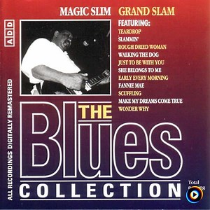 Give Me Back My Wig by Magic Slim