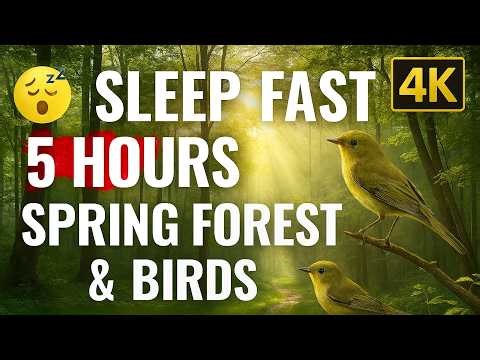 4K 🌳 Sleep Faster: 5 HOURS Spring Forest & Calming Birds for Deep Sleep, Anxiety Relief & Focus
