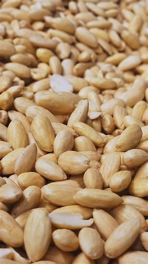 This is our almond paste. Made in-store with simple ingredients and traditional methods. We use 100% Australian almonds to ensure the best quality. No shortcuts. No fillers. No additives. Gluten-free and the base of all our Italian almond biscuits. Try them for yourself and experience the difference! #dolcisiciliani #italianbiscuits #glutenfree #almondbiscotti #italiansweets | Siciliadolce Pasticceria