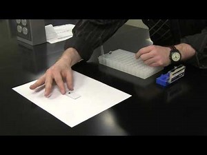 How to prepare a wet mount slide