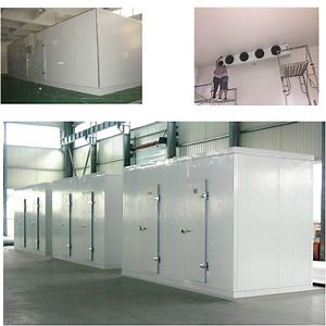 [Hot Item] Butchery Cold Room&Insulation Panel Cold Room Freezer