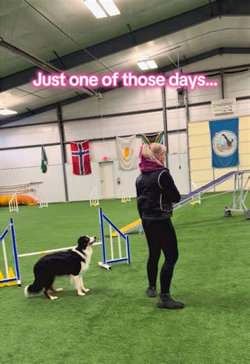 Wow I felt like a piece of crap today glad I rewatched some of the training before the crying 👍 #agilitydogsoftiktok #dogtraining #dogsports #agilitydog #dogtok