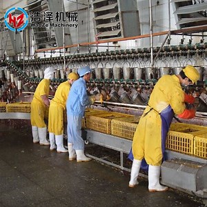 [Hot Item] Poultry Slaughtering Assembly Line Equipment/Chicken Slaughtering Equipment with a Capacity of 2, 000 Chickens Per Hour