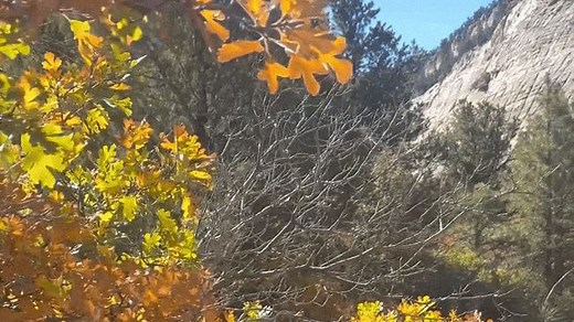 Zion National Park Stuns With Bright Fall Foliage