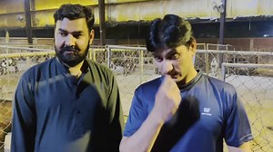 Pregnant Goats Care || حاملہ بکریوں کی حصوصی حفاظت کریں | Goat Land Farms