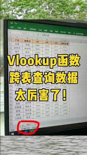 用Vlookup函数实现跨表查询数据#办公技巧 #每天学习一点点 #职场 #函数 #excel