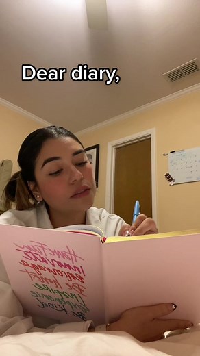 Office Humor: Dear Diary Memes and Coworker Problems