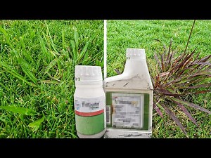 Testing Powerful Weed Control Combo on Dallisgrass, Crabgrass, and Other Tough Weeds