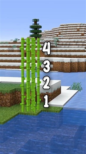 How Tall Can Sugar Cane Grow?