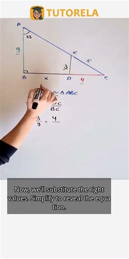 Solving for X in Similar Triangles CED & ABC #Math #SimilarTrianglesAndPolygons