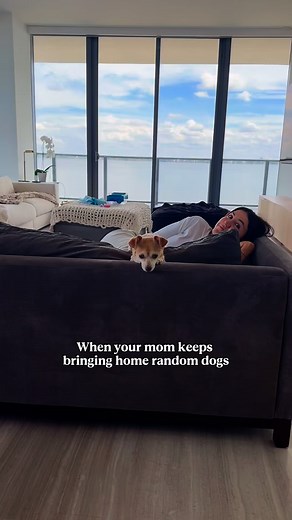 542K views · 4K reactions | and she expects me to welcome them with open arms | Kat Stickler | Facebook