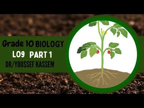 STEM Biology grade 10 LO9 part 1