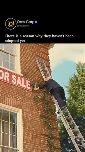 Octa Corp. on Instagram: "The Three Stooges — a legendary American comedy trio who changed the landscape of slapstick forever. Known for their chaotic energy, perfectly timed physical humor, and unforgettable sound effects, they became icons of classic cinema and television. Originally formed in the early 1930s, the group’s most famous lineup featured Moe Howard, Larry Fine, and Curly Howard. Their short-subject films produced for Columbia Pictures became worldwide hits, turning their wild eye-p