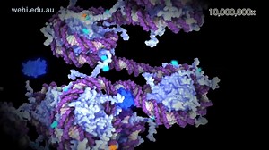 Understanding Why Some Birth Defects are More Common in Girls | Genetics And Genomics