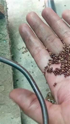 filter chocking oil chock dryer #coolingsystem #coolingunit #refrigerator