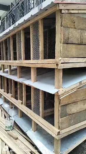 Wooden Chicken Coops with Compartments and Wire Mesh