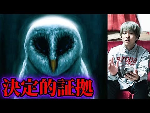 フクロウ、エイリアン説！！【都市伝説】