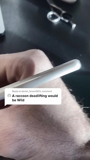 Wild Raccoon Deadlifting Tattoo Design | Learn to Draw