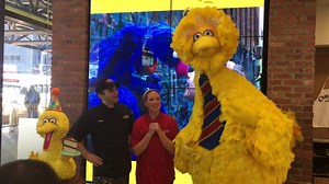 18K views · 1.3K reactions | Big Bird's party is in full swing here...