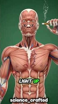 What happens when you take the first puff of a cigarette?