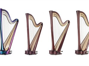 2.1K views · 91 reactions | The first harp is never forgotten. Which was the first Salvi Harp model that you ever played? | Salvi Harps | Facebook