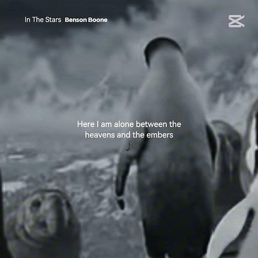 Happy Feet 3 -In The Stars