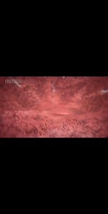 17K views · 600 reactions | Meet Baby Oliver! A Never-Before-Seen...