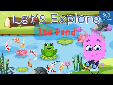 Let's Explore The Pond for Kindergarten | EYFS