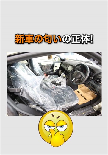 新車の香りの正体とその文化的差異