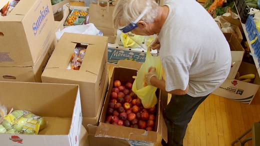 The age-old practice of ‘gleaning’ is feeding people during the pandemic