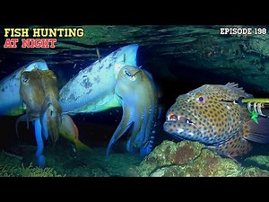 Ep198 NIGHT SPEARFISHING | FISH HUNTING AT NIGHT